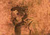 severo2.jpg (23146 byte)